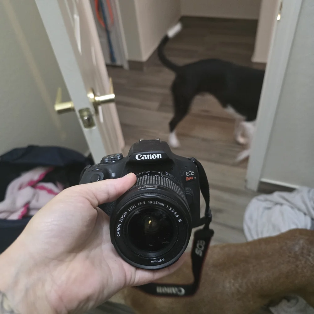 Canon Black RebalT7 Camera